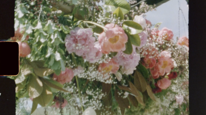 peonies floral installation, frame from super 8 film Ana Galloway Photography